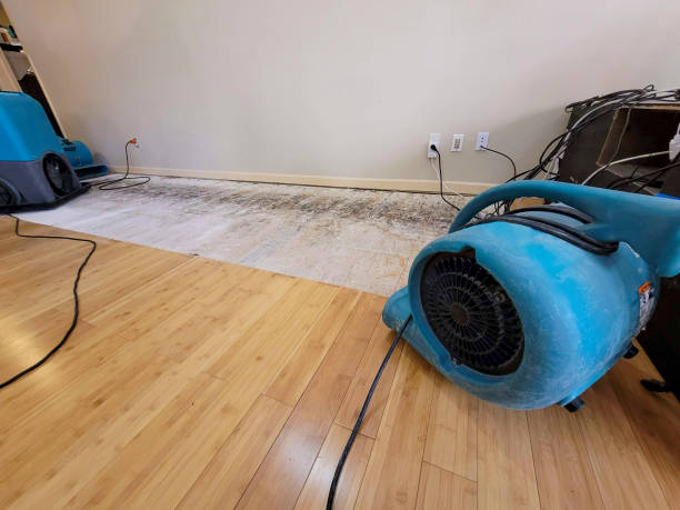 Professional Sewage Cleanup technician working in Morenci, MI